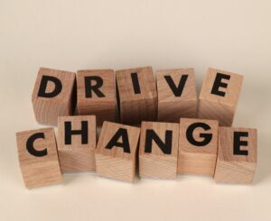 Change and Organizational Development Course Bundle